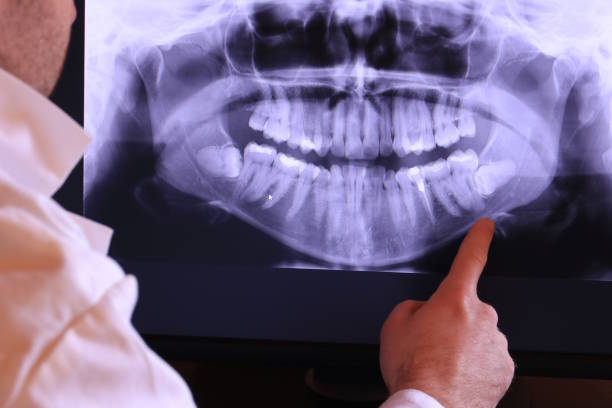 Best Emergency X-Rays and Diagnostics in Ottawa, OH